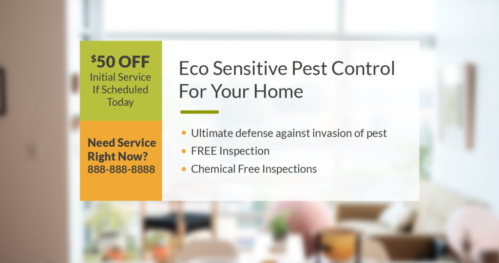 Pest Control in Dunedin, FL